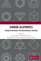 Jeenat Verma Aslam, Jeenat Aslam, Ruby Aslam, Chaudhery Mustansar Hussain, Hussain Chaudhery Mustansar, Chandrabhan Verma - Carbon Allotropes