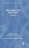 Thaddeus Metz, Thaddeus (University of Pretoria Metz, Thaddeus Seachris Metz, Metz Thaddeus, Joshua Seachris, Joshua W. Seachris... - What Makes Life Meaningful?