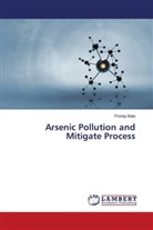 Pronay Bala - Arsenic Pollution and Mitigate Process