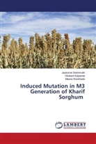 Jaykumar Deshmukh, Hirakant Kalpande, Meena Wankhade - Induced Mutation in M3 Generation of Kharif Sorghum