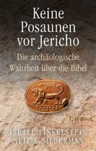 Israel Finkelstein, Neil Asher Silberman - Keine Posaunen vor Jericho