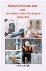 Chetan Singh - Rebound Hammer Test and Non Destructive Testing of Concrete