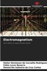 Demócrito Sobreira  da Cruz Cortez, Demócrito Sobreira da Cruz Cortez, Fábio Lavor Bezerra, Heitor Hermeson de Carvalho Rodrigues - Electromagnetism
