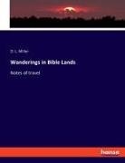 D. L. Miller - Wanderings in Bible Lands