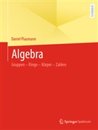 Plaumann, Daniel Plaumann - Algebra