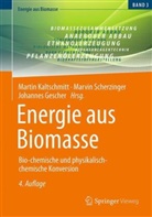 Kaltschmitt, Johannes Gescher, Martin Kaltschmitt, Marvin Scherzinger - Energie aus Biomasse
