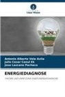 Julio Cesar Canul Ek, Jose Lazcano Pacheco, Antonio Alberto Vela Avila - ENERGIEDIAGNOSE