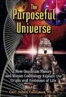 Carl J Calleman - Das absichtsvolle Universum