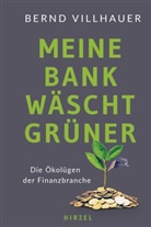 Bernd Villhauer, Bernd (Dr.) Villhauer, Bernd Dr Villhauer, Bernd Dr. Villhauer - Meine Bank wäscht grüner