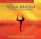 Richard Freeman - Yoga Matrix (Audio book)