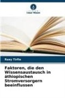 Raey Tirfie - Faktoren, die den Wissensaustausch in äthiopischen Stromversorgern beeinflussen