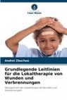 Andrei Zbuchea - Grundlegende Leitlinien für die Lokaltherapie von Wunden und Verbrennungen