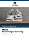 Ajay Kumar Choubey - Meine Forschungserfahrung