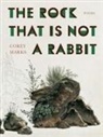 Corey Marks - The Rock That is Not a Rabbit