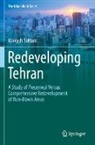 Kiavash Soltani - Redeveloping Tehran