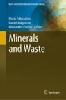 Alessandro Pavese, Mario Tribaudino, Daniel Vollprecht - Minerals and Waste