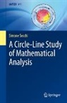 Simone Secchi - A Circle-Line Study of Mathematical Analysis