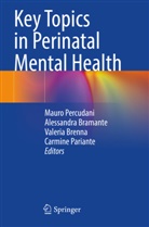 Alessandra Bramante, Valeria Brenna, Valeria Brenna et al, Carmine Pariante, Mauro Percudani - Key Topics in Perinatal Mental Health