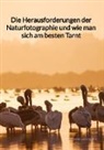 Maximilian Maier - Die Herausforderungen der Naturfotographie und wie man sich am besten Tarnt