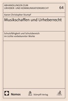 Aaron Christopher Stumpf - Musikschaffen und Urheberrecht