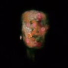 Lanterns On The Lake - Versions Of Us, 1 Audio-CD (Audiolibro)