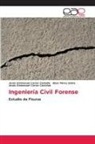 Jesús Emmanuel Cerón Carballo, Jesús Emmanuel Cerón Castelan, Eber Pérez Isidro - Ingeniería Civil Forense