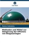 Mykola Zablodskiy - Methoden und Mittel zur Steigerung der Effizienz von Biogasanlagen