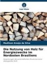Madilson Araújo da Silva - Die Nutzung von Holz für Energiezwecke im Nordosten Brasiliens
