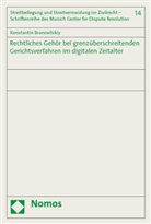 Konstantin Branovitskiy - Rechtliches Gehör bei grenzüberschreitenden Gerichtsverfahren im digitalen Zeitalter