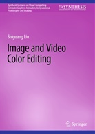 Shiguang Liu - Image and Video Color Editing