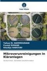 Fouad Dimane, Yahya El Hammoudani, Khadij HABOUBI, Khadija Haboubi - Mikroverunreinigungen In Kläranlagen