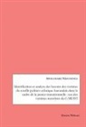 Apollinaire Ndayisenga - Identification et analyse des besoins des victimes du conflit politico-ethnique burundais dans le cadre de la justice transitionnelle : cas des victimes membres du CARAVI
