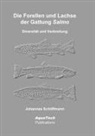 Johannes Schöffmann - Die Forellen und Lachse der Gattung Salmo