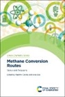 Prof. Vladimir (Ghent University Galvita, Vladimir (Ghent University Galvita, René Bos, Rene (Ghent University Bos, Vladimir Galvita, Vladimir (Ghent University Galvita - Methane Conversion Routes