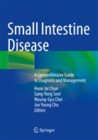 Joo Young Cho, Myung-Gyu Choi, Myung-Gyu Choi et al, Hoon Jai Chun, Sang-Yong Seol - Small Intestine Disease