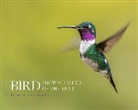 Bird Photographer of the Year - Bird Photographer of the Year