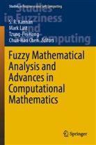 Chun-Hao Chen, Tzung-Pei Hong, Tzung-Pei Hong et al, S. R. Kannan, Mark Last - Fuzzy Mathematical Analysis and Advances in Computational Mathematics