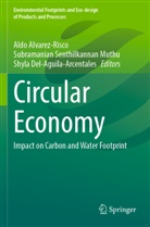 Aldo Alvarez-Risco, Del-Aguila-Arcent, Shyla Del-Aguila-Arcentales, Subramanian Senthilkannan Muthu, Subramanian Senthilkannan Muthu - Circular Economy