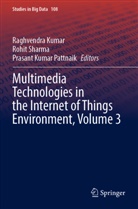 Raghvendra Kumar, Prasant Kumar Pattnaik, Prasant Kumar Pattnaik, Rohit Sharma - Multimedia Technologies in the Internet of Things Environment, Volume 3