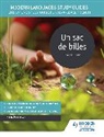 Karine Harrington - Modern Languages Study Guides: Un sac de billes