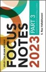 S. Rao Vallabhaneni, S. Rao (Srv Professional Publication Vallabhaneni, S. Rao (SRV Professional Publication) Vallabhaneni, Vallabhaneni S. Rao - Wiley Cia Exam Review 2023 Focus Notes, Part 3