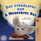 Kidkiddos Books, Sam Sagolski - A Wonderful Day (Hungarian English Bilingual Book for Kids)
