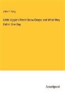 John P. King - Little Aggie's Fresh Snow-Drops and What they Did in One Day