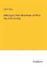 John P. King - Little Aggie's Fresh Snow-Drops and What they Did in One Day