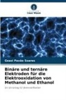 Geasi Pavão  Soares, Geasi Pavão Soares - Binäre und ternäre Elektroden für die Elektrooxidation von Methanol und Ethanol