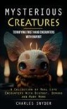 Charles Snyder - Mysterious Creatures