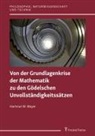 Hartmut W Mayer, Hartmut W. Mayer - Von der Grundlagenkrise der Mathematik zu den Gödelschen Unvollständigkeitssätzen