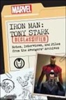 Kevin Dilmore, Marvel Comics, Dayton Ward - Iron Man: Tony Stark Declassified