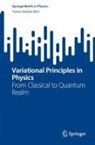 Tamás Sándor Biró - Variational Principles in Physics