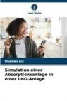 Moamen Aly - Simulation einer Absorptionsanlage in einer LNG-Anlage
